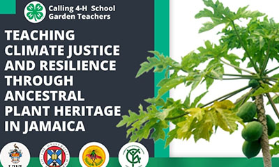 CLIMATE JUSTICE AND RESILIENCE THROUGH ANCESTRAL PLANT HERITAGE IN JAMAICA #climatejusticenow
